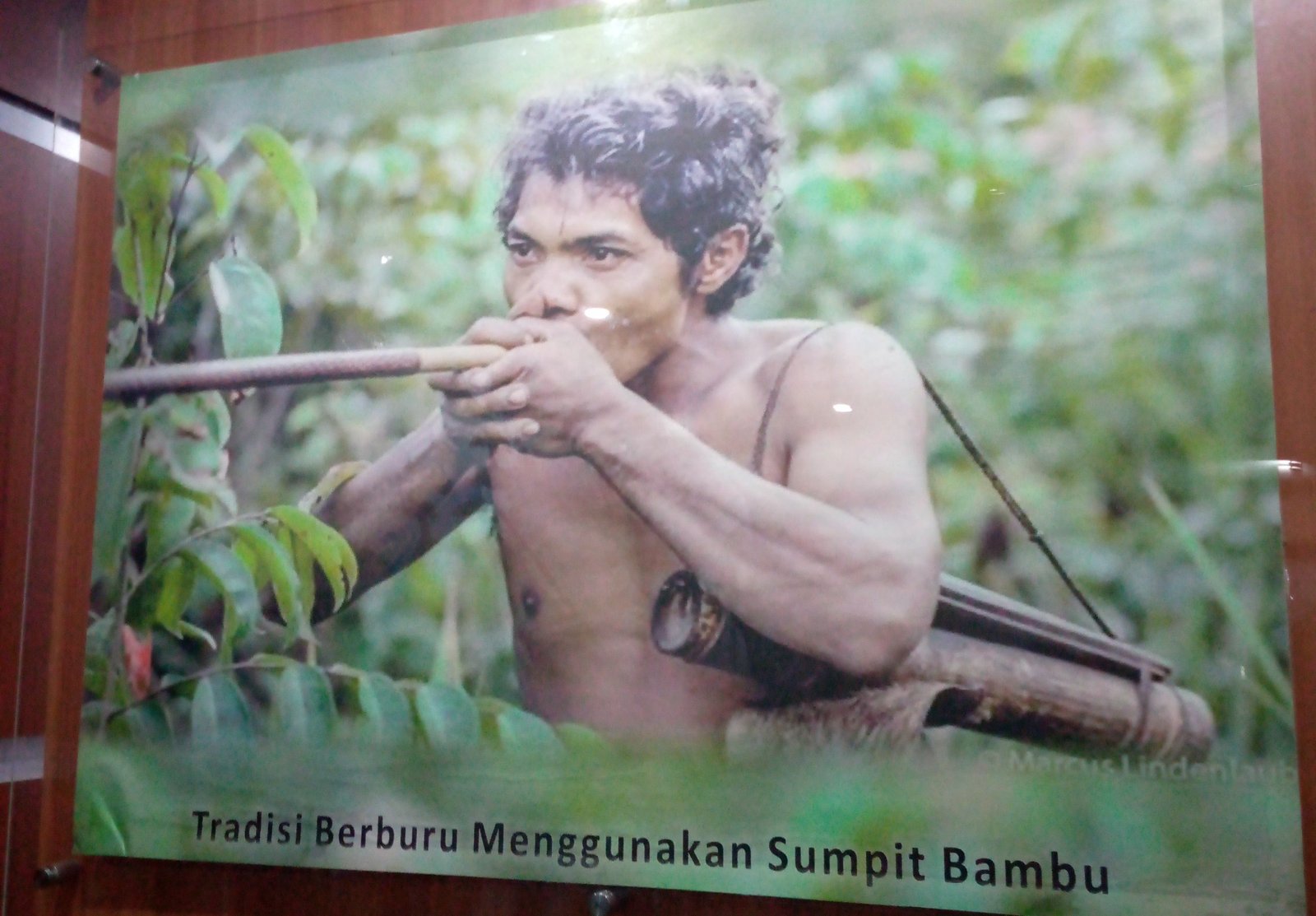 Penggunaan sofu untuk berburu; dalam situasi perang, sopu digunakan para pejuang. Foto: Mugni Mayah/Tutura.id.